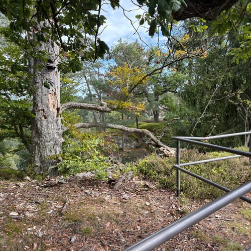 Bastei - Schwedenlöcher -Polenztalweg [CLOSED]