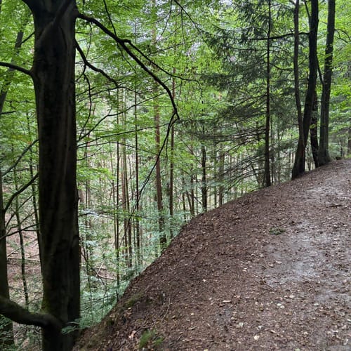 Bastei - Schwedenlöcher -Polenztalweg [CLOSED]
