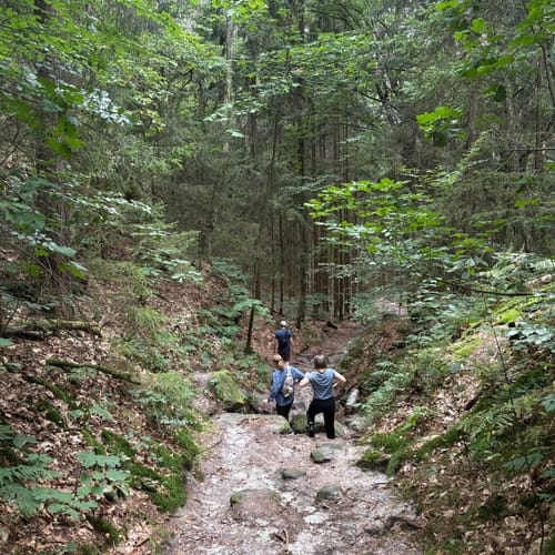 Bastei - Schwedenlöcher -Polenztalweg [CLOSED]