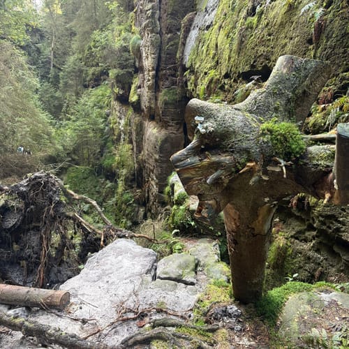 Bastei - Schwedenlöcher -Polenztalweg [CLOSED]