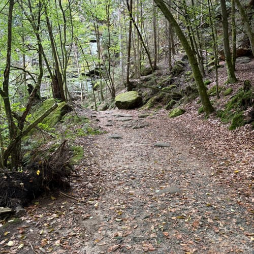 Bastei - Schwedenlöcher -Polenztalweg [CLOSED]