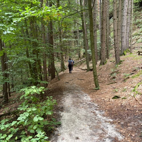 Bastei - Schwedenlöcher -Polenztalweg [CLOSED]