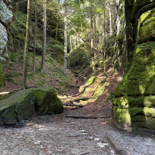 Bastei - Schwedenlöcher -Polenztalweg [CLOSED]