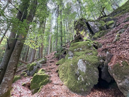 Sankt Märgen zu den Zweribach-Wasserfällen