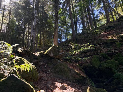 Sankt Märgen zu den Zweribach-Wasserfällen