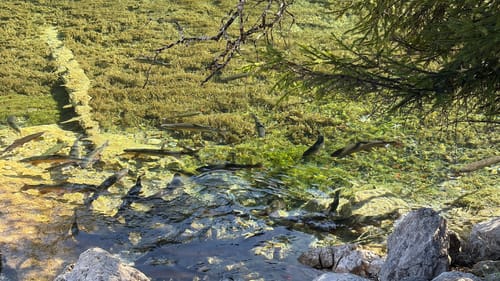 Wandern im ZugspitzLand - Grainau Badersee