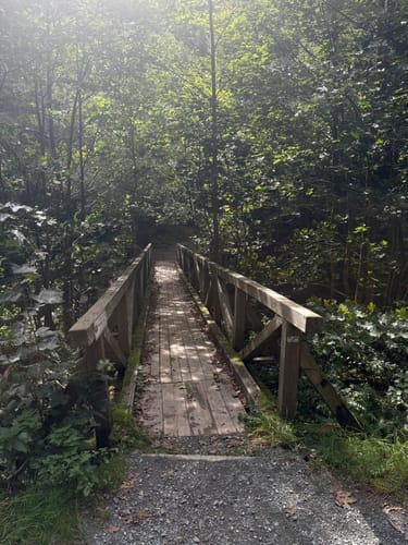 Steinachklamm-Weg KU 52
