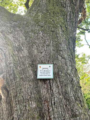 Battert Rundweg