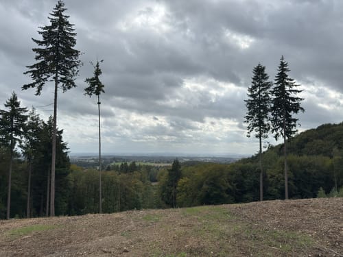 Grüner See - Nonnenstein - Neue Mühle
