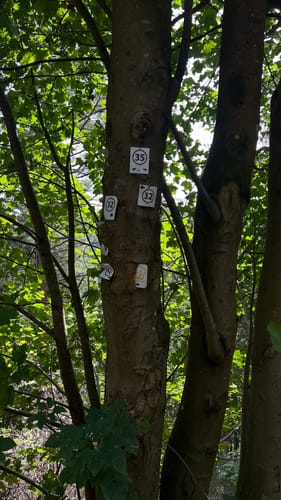 Monschau-Rurtal-Rundweg 35