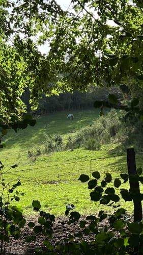 Monschau-Rurtal-Rundweg 35