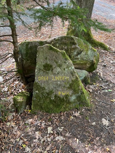 Ruine Frankenstein