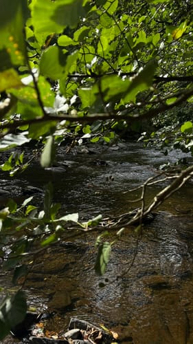 Monschau-Rurtal-Rundweg 35