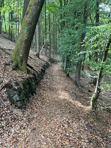 Ruine Frankenstein
