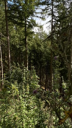 Monschau-Rurtal-Rundweg 35
