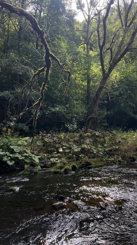 Monschau-Rurtal-Rundweg 35