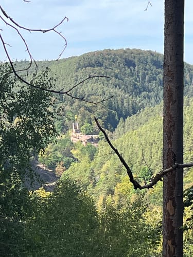 Ruine Frankenstein