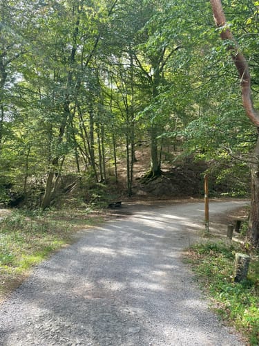 Einruht - Urfttalsperre - Ruhrberg