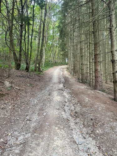 Zuschauerwanderung