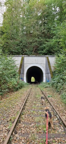 Brexbachschluchtweg (WällerTour)