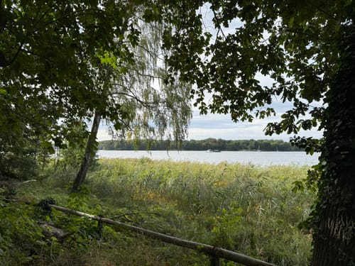 Uferpromenade im Düppeler Forst