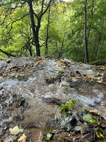 Bad Urach - Uracher Wasserfall - Maisental