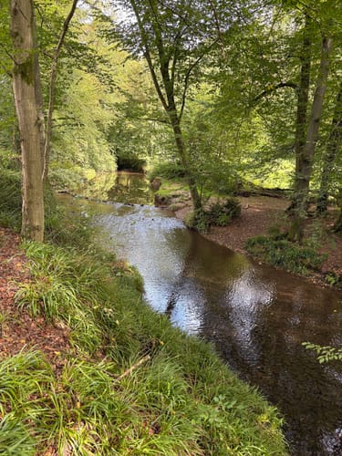 Schöllerhof, Rausmühle, und Dabringhausen Rundweg