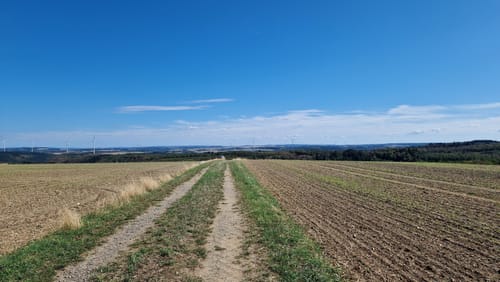 Layensteig Strimmiger Berg (Traumschleife)
