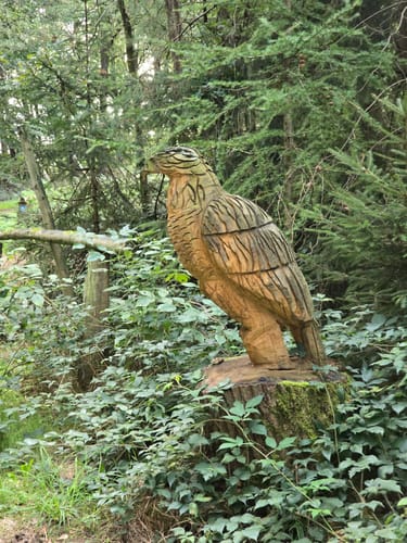 Teufelstein Rundwanderweg A3