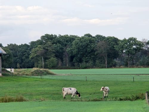 Teufelstein Rundwanderweg A3