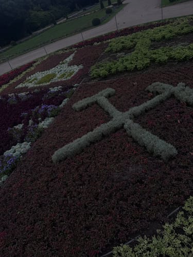 Auf gräflichen Spuren in der Löchterheide