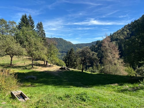 Sankt Märgen zu den Zweribach-Wasserfällen