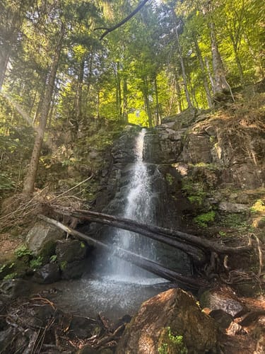 Sankt Märgen zu den Zweribach-Wasserfällen