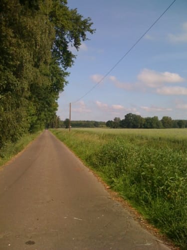 Springhorstsee und Dritter Mühlenbruchdamm