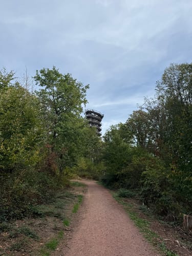 Saarschleifen Tafeltour (Traumschleife)