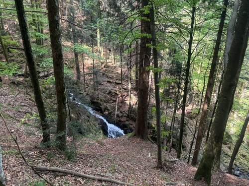 Sankt Märgen zu den Zweribach-Wasserfällen