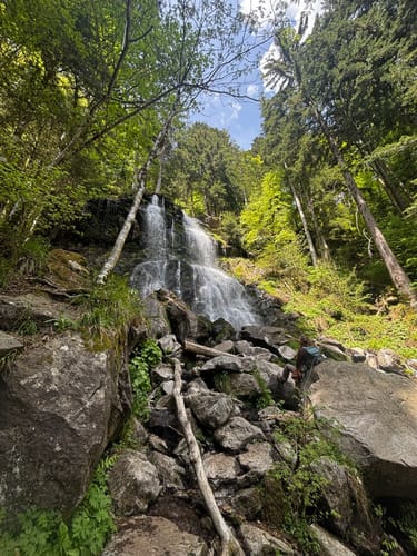 Sankt Märgen zu den Zweribach-Wasserfällen