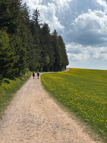 Sankt Märgen zu den Zweribach-Wasserfällen