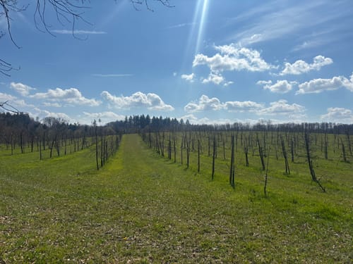 Marienschlucht Rundweg ab Bodman
