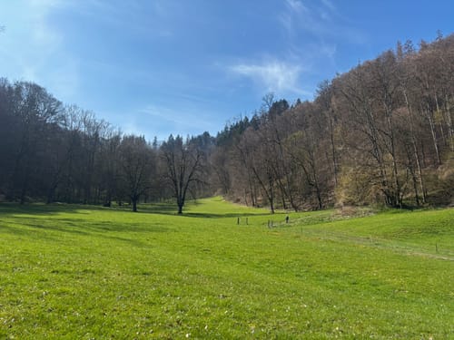 Marienschlucht Rundweg ab Bodman