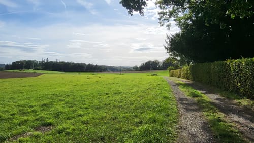 Biesfeld Rundweg A3