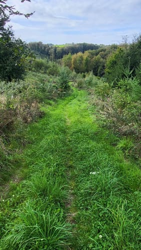 Biesfeld Rundweg A3