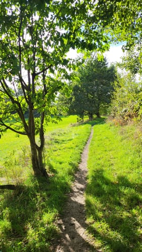Biesfeld Rundweg A3