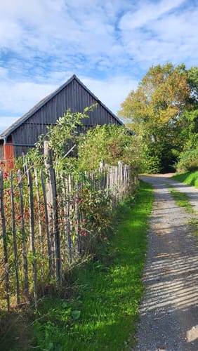 Biesfeld Rundweg A3