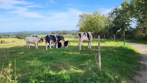 Biesfeld Rundweg A3