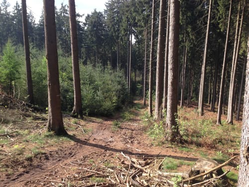 Ahornweg 1 West