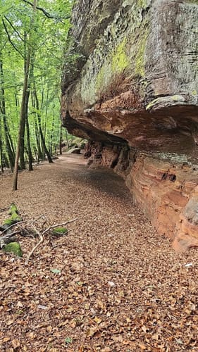 Circuit du Rocher de l'Altschlossfelsen