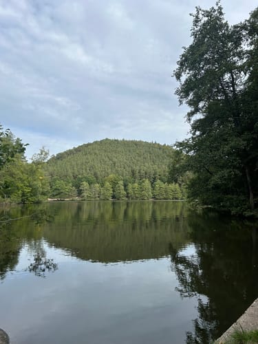 Erlenbach - Burg Berwartstein - Seehofweiher