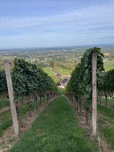 Schnapsbrunnenweg 1