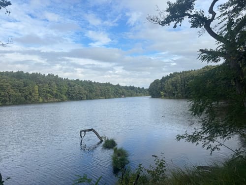 Madlitzer See